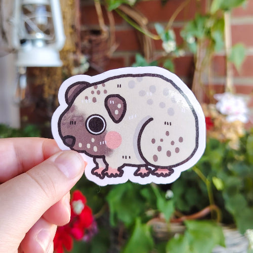 Kuvassa on vaaleanvärinen marsutarra. Marsulla on suuret posket, pirteän pinkit posket ja ruskea kuono.