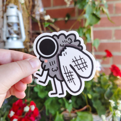 Kuvassa on suuri kärpästarra. Kärpäsellä on isot silmät ja komeat siivet.