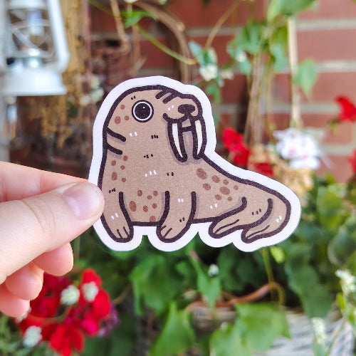 Kuvassa on hauska mursutarra. Mursu on ruskea ja sillä on valtavan pitkät hampaat. Mursu on hieman ryppyinen, mutta silti hyvin ystävällisen näköinen.