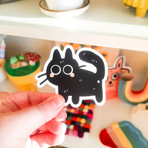 Kuvassa on musta kissatarra. Kissalla on suuret silmät, pitkät viikset ja oikein pinkit posket.